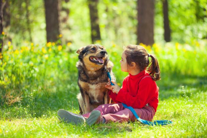How Children Can Benefit from Pet Ownership