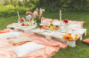 Picture Perfect: How to Organize an Instagram-Worthy Picnic Party